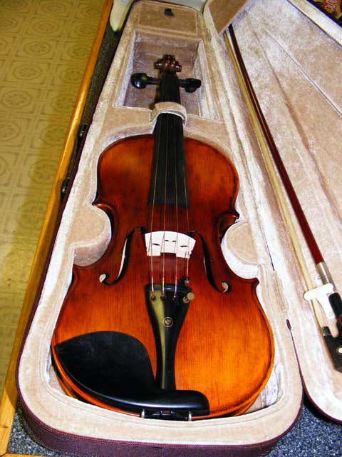 My new Violin