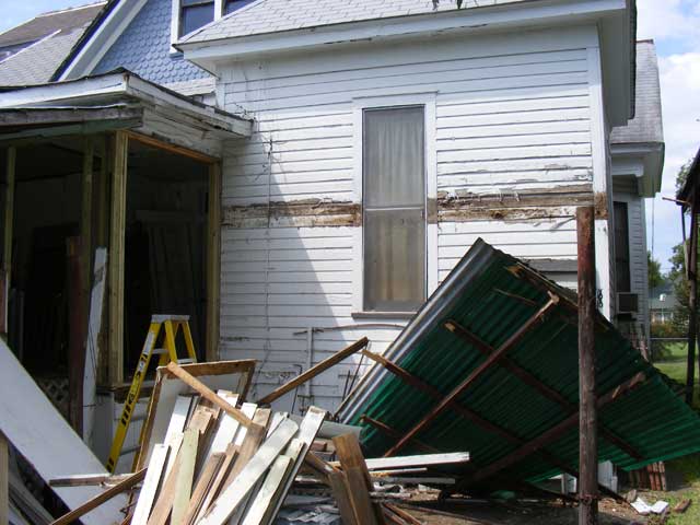 The shed, mostly dead.
