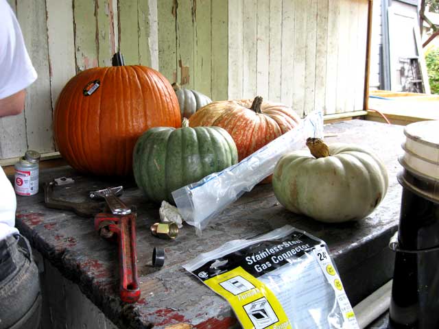 Stalking pumpkins. Would make a great punk rock band name, no?