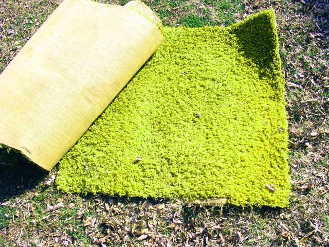 Nuclear Carpet