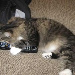 Controlling the remote control…