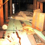 Attic Cleanup–and severed ladies’ heads.
