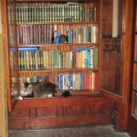 Bookshelf Cat…